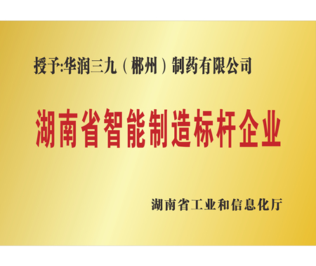 湖南省智能造作标杆企业