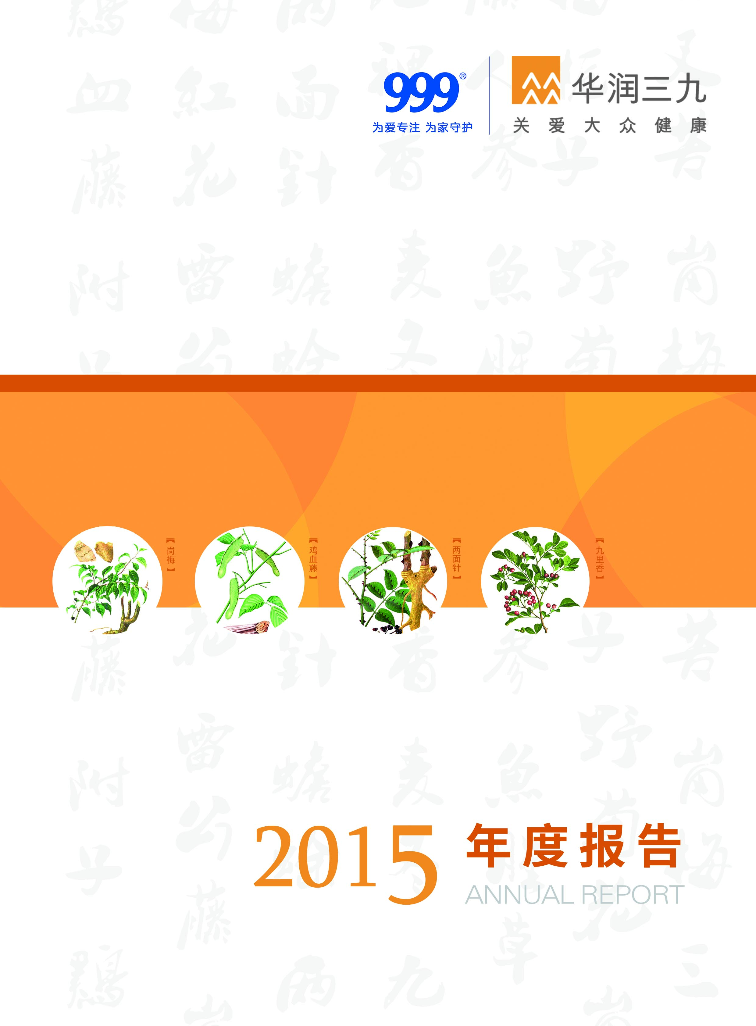 ng电子游戏：2015年年度汇报
