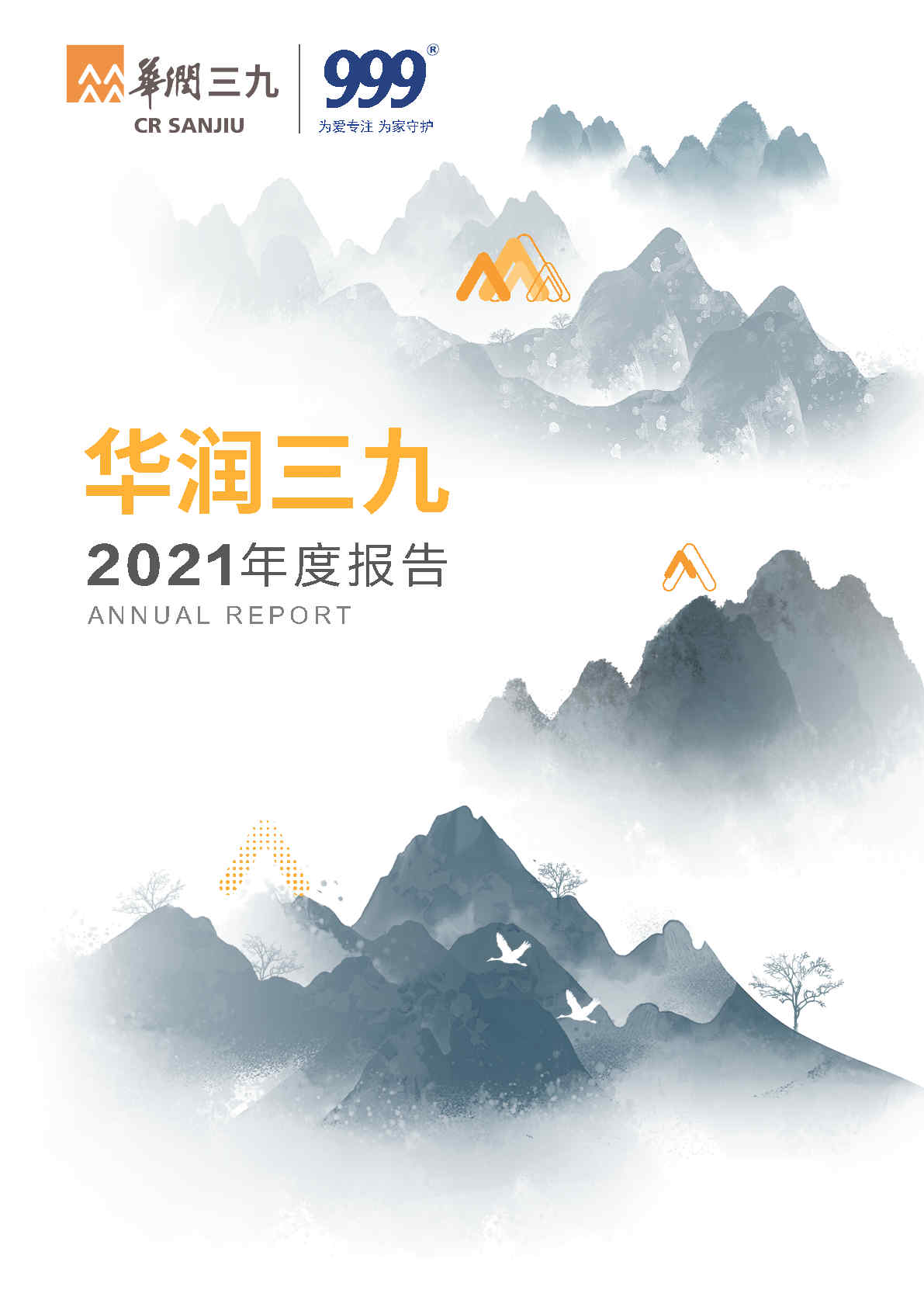 ng电子游戏：2021年年度汇报