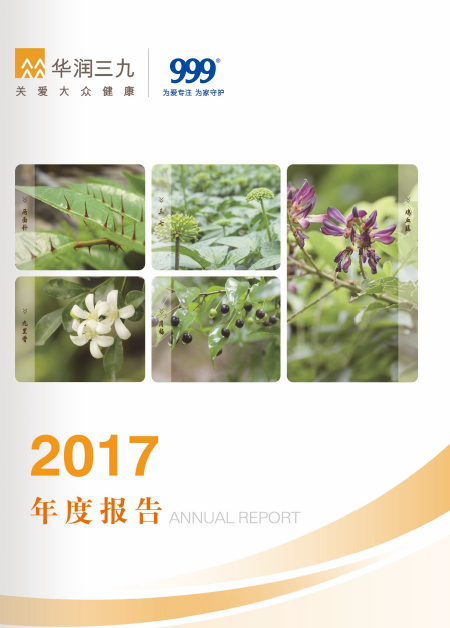 ng电子游戏：2017年年度汇报
